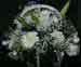 7852