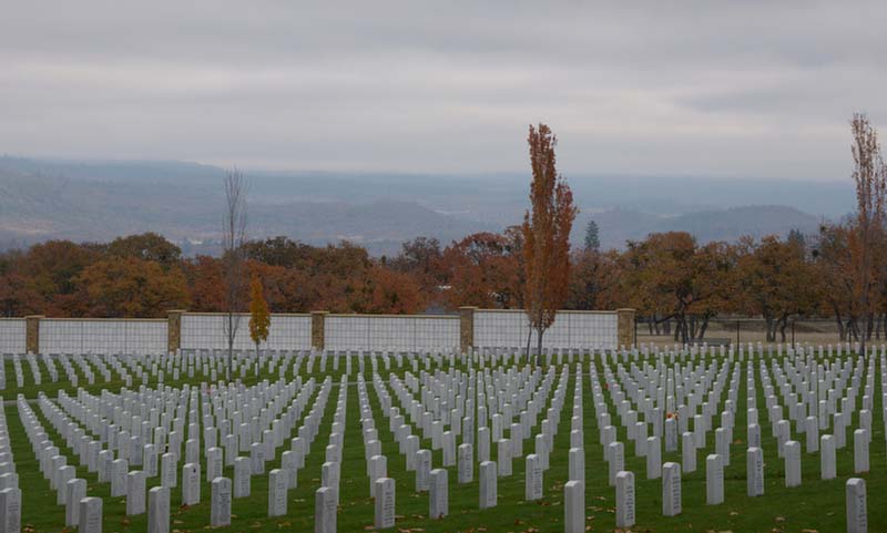 111315_5252