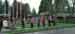 dustin_canham04