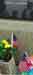 dustin_canham23